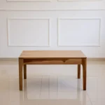 Mesa ratona Petiribí Moscú